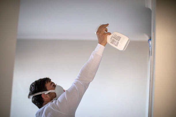 Best Affordable Mold Removal  in Clifton Springs, NY