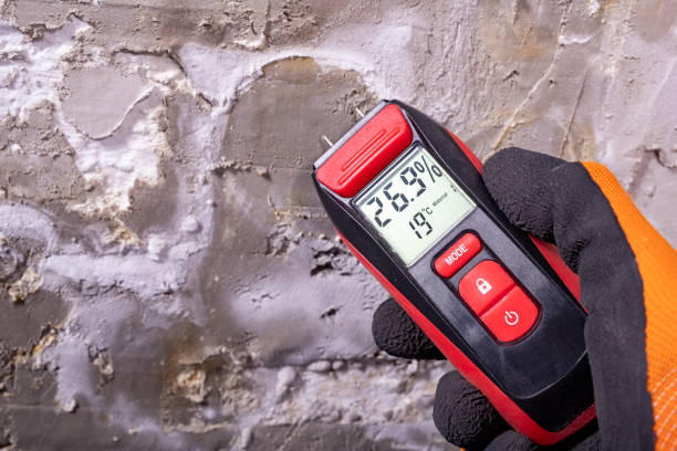 Professional Mold Removal in Clifton Springs, NY