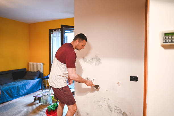 Best Mold Remediation  in Clifton Springs, NY